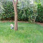 Marijana 公寓 Ičići
