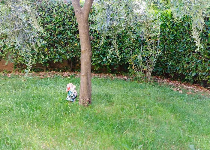 Marijana Appartement Ičići